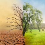 José Henrique Gomes Xavier analisa como a gestão pública eficiente pode enfrentar as mudanças climáticas e proteger comunidades vulneráveis.