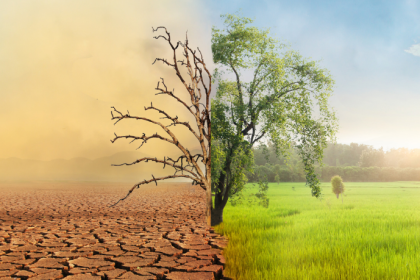 José Henrique Gomes Xavier analisa como a gestão pública eficiente pode enfrentar as mudanças climáticas e proteger comunidades vulneráveis.