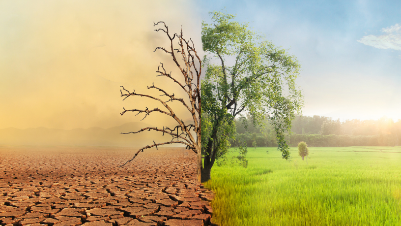 José Henrique Gomes Xavier analisa como a gestão pública eficiente pode enfrentar as mudanças climáticas e proteger comunidades vulneráveis.