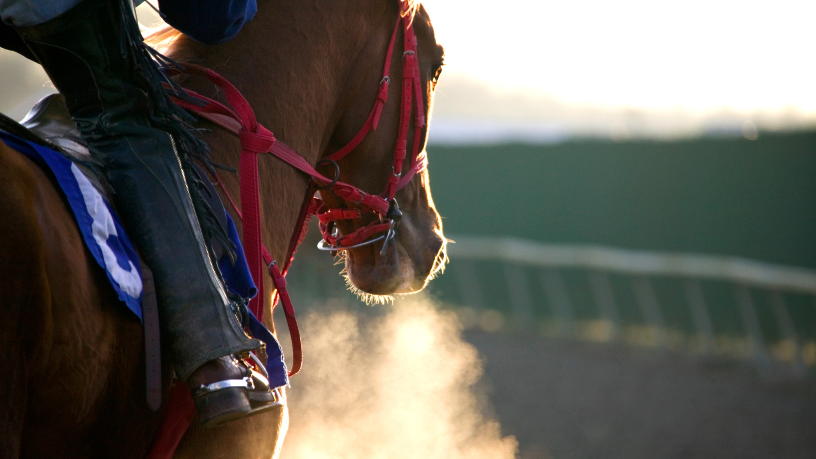 Para Aldo Vendramin, a competição é referência mundial na seleção de cavalos de elite.
