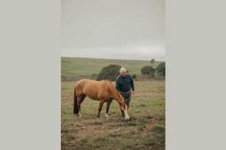 Aldo Vendramin analisa como o Freio de Ouro eleva o padrão genético e funcional da raça Crioula.