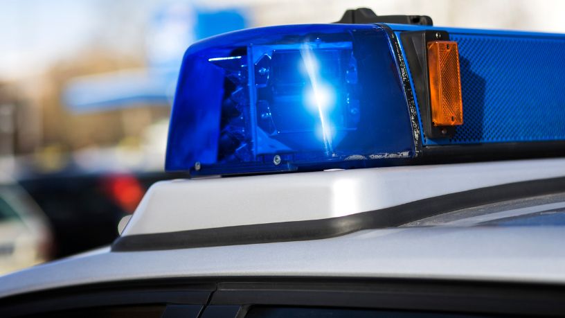 Caso de Orelha em Florianópolis: Entenda os Desdobramentos e Impactos na Sociedade