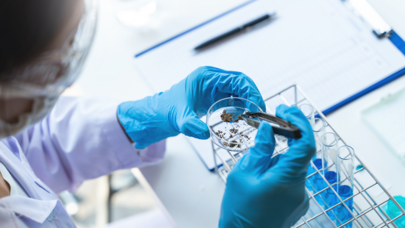 Sigma Educação e Tecnologia Ltda