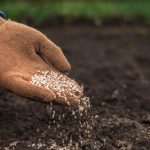 Fertirrigação com adubos orgânicos em Santa Catarina: tecnologia sustentável transforma a produtividade no campo