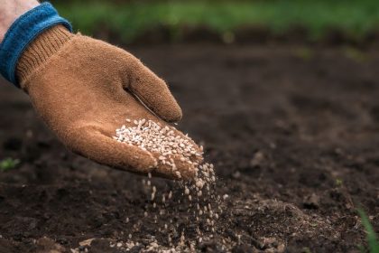 Fertirrigação com adubos orgânicos em Santa Catarina: tecnologia sustentável transforma a produtividade no campo