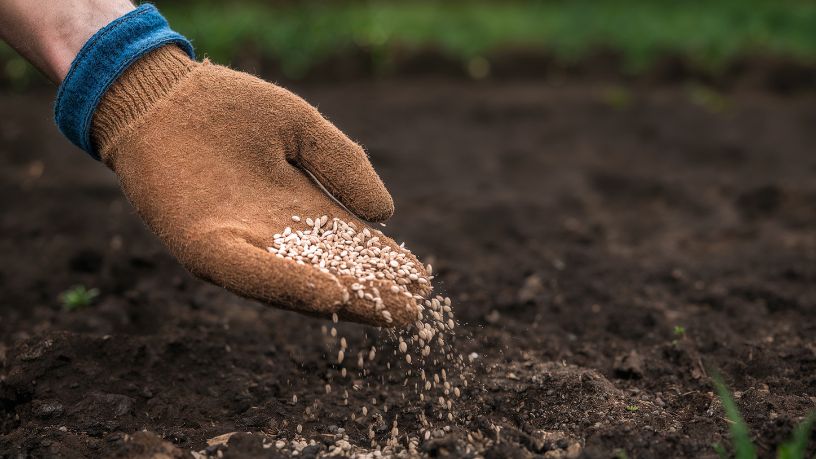 Fertirrigação com adubos orgânicos em Santa Catarina: tecnologia sustentável transforma a produtividade no campo