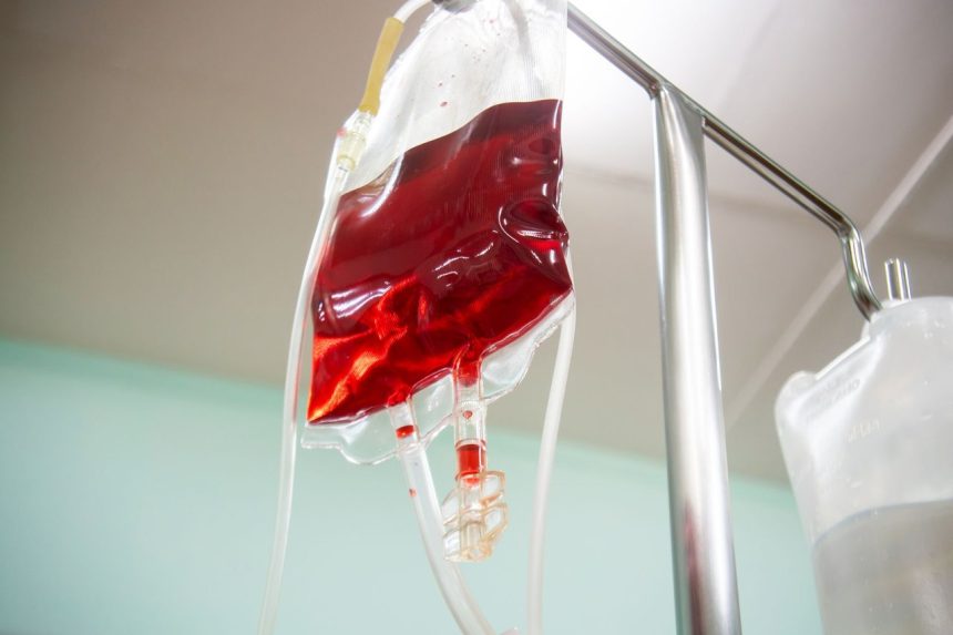 Bolsa de sangue conectada a um equipo em ambiente hospitalar